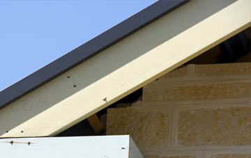 Benston fascia repairs