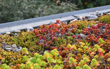 the cost of Benston green roof installation