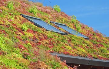Benston living roof systems