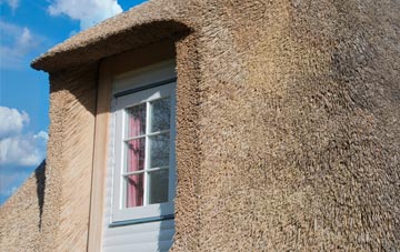 Benston thatch roof disadvantages