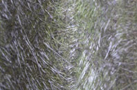 Benston fibreglass roof work